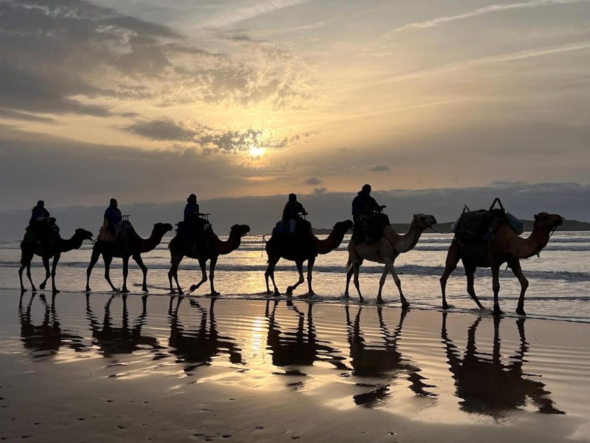 Хостел Surf Housemaroc Ес-Сувейра Екстер'єр фото
